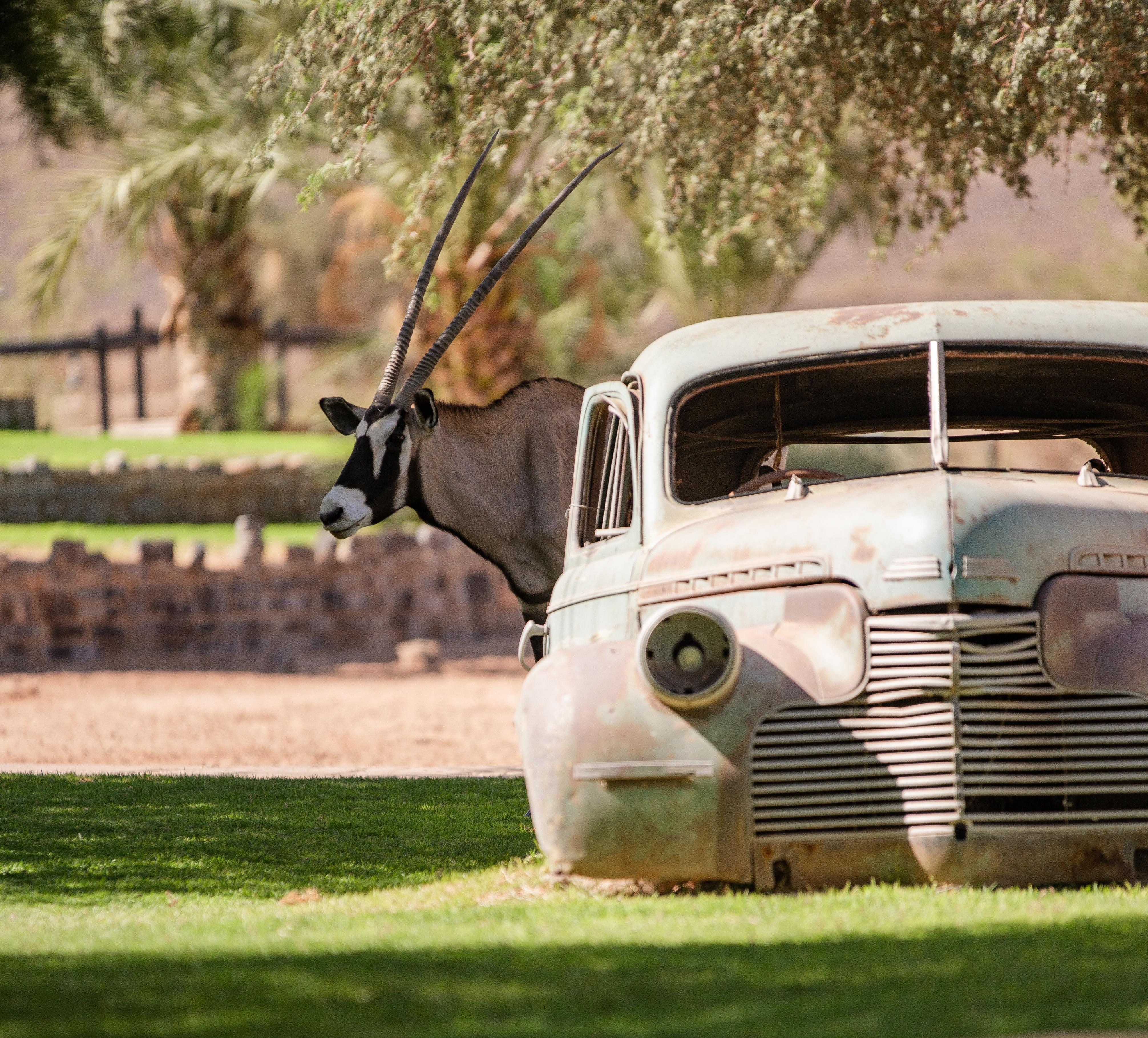 Canyon Roadhouse Fish River Canyon Екстер'єр фото